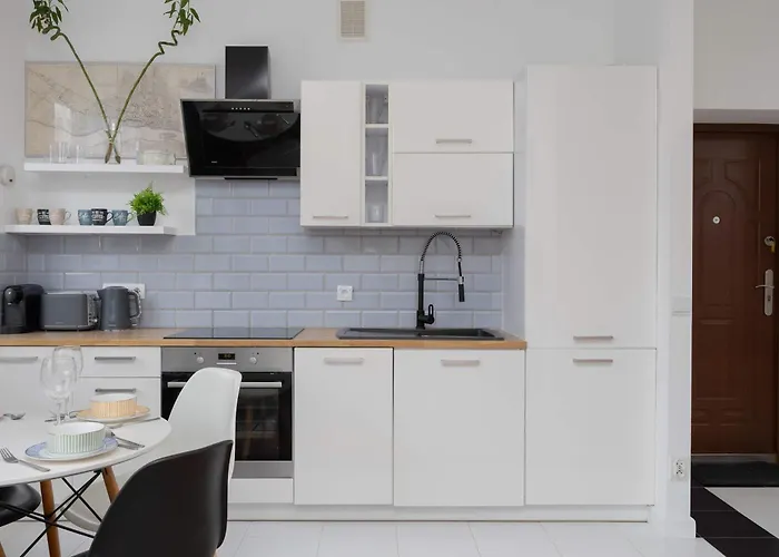 Cozy Hoza Near Pkin With Air Conditioning By Renters وارسو